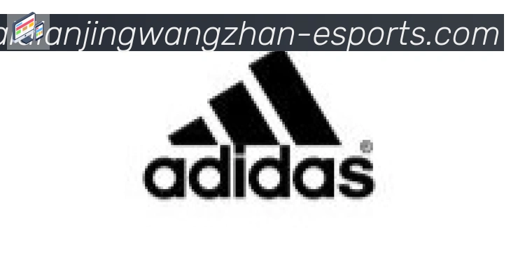 乐派电竞官方网站合作伙伴